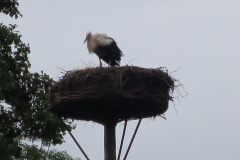 csm_Giethoorn___4__48c10ef546