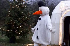 csm_20171220_161952_7d5a2be58d