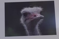 csm_20171220_174704_aa20d1bfc6