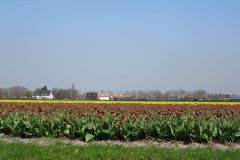 csm_keukenhof.nl_026_37703eb378