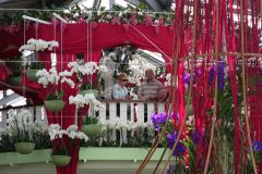 csm_keukenhof.nl_045_d26b9c7438