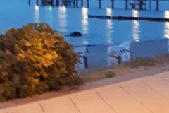 csm_Kuehlungsborn.10.6-17.6.18_1598_6a6118802f