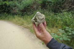 csm_kuehlungsborn_10-6_bis_17-6-2018_114_d6ea855b42