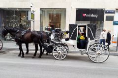 csm_Donau_2169_6b90734e79