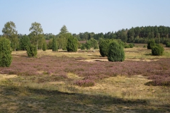 2019-08 Bad Bevensen