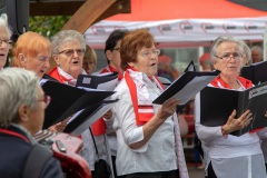 M0A0703-Sommerfest-AWO_Bildgroesse-aendern