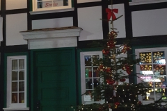 2020-12-10-Dissmann-Haus-mit-Senlis-Fenster