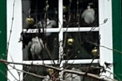 2020-12-16-Cafe-feminin