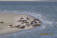 csm_IMG_5349_04a97d41ab