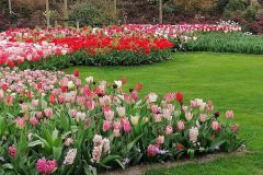 k-IMG_20220413_110830