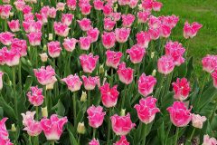 k-IMG_20220413_112701