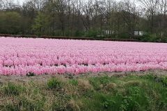 k-IMG_20220413_122506