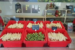 csm_IMG-20220601-WA0041_af41fc4143