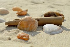 2022-08 Nordseeküste und Inselhopping