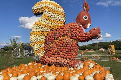 csm_IMG_7262_df38ed624b