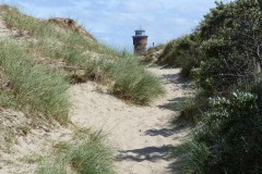 sand-dunes-2693577_1280