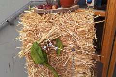 WhatsApp-Bild-2023-10-28-um-20.03.02_66057bb0