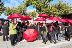 2023-10 Demo in Düsseldorf