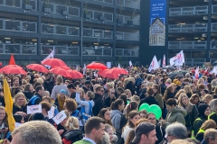 Bild_9