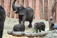 WhatsApp-Image-2024-04-25-at-18.25.48