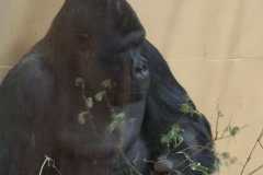 WhatsApp-Image-2024-04-25-at-18.35.27-1