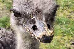 WhatsApp-Image-2024-04-25-at-18.35.27