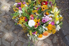 IMG-20240818-WA0007