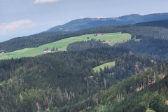 IMG-20240818-WA0009