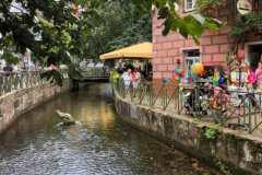 IMG-20240818-WA0016