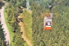 IMG-20240818-WA0022