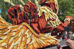 2024-09 Blumencorso Lichtenvoorde