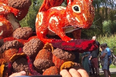 IMG-20240909-WA0012