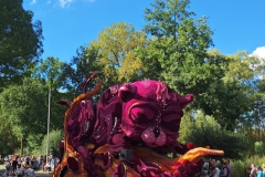 WhatsApp-Bild-2024-09-09-um-12.55.56_8702bc44