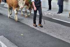 IMG-20241005-WA0198