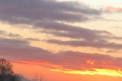 IMG-20241129-WA0004