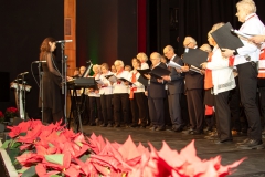 0M0A2305-Verbessert-NR-Kopie