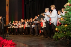 0M0A2315-Verbessert-NR-Kopie