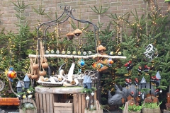 IMG-20241213-WA0012