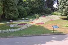 IMG-20250713-WA0018