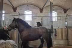 IMG-20260316-WA0008