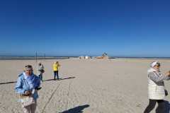 IMG-20260408-WA0016