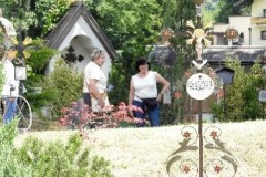 Bild11