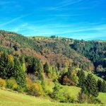 Mehrtagesfahrt in den Schwarzwald - Wälder, Torten und Tradition