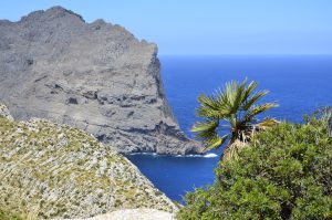 Mehr über den Artikel erfahren Reisezeit Mallorca und Menorca – Zwei Balearenperlen