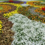 Landesgartenschau in Neuss