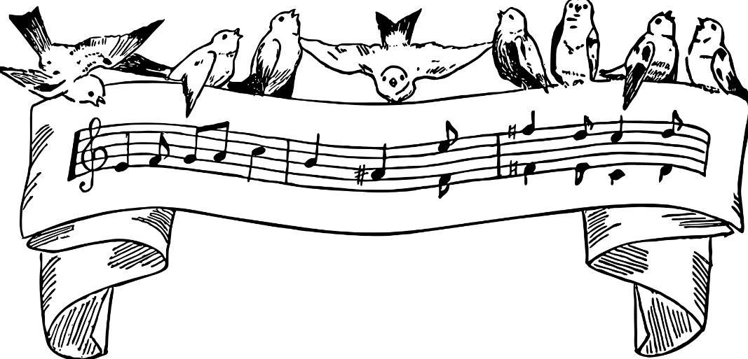 Mehr über den Artikel erfahren Musiknachmittag