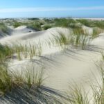 Borkum