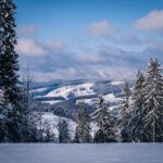 Schwarzwald