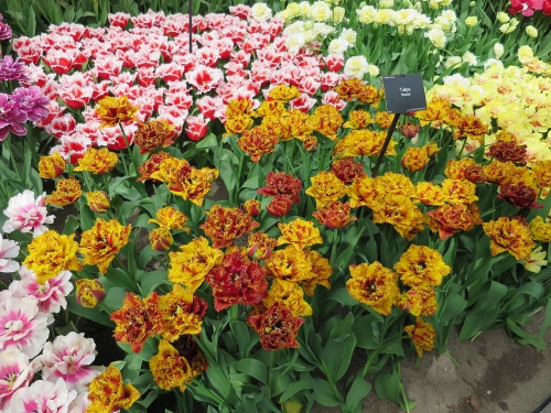 2018-04 Keukenhof