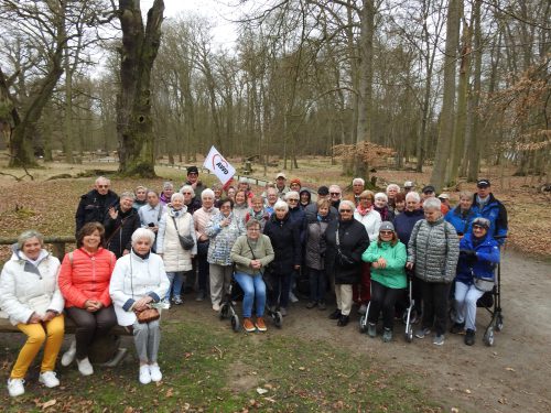 16-04-Ivenacker-Eichen-2